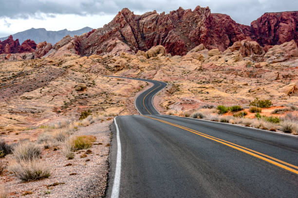 Navigating the Roads of California - Insights into Car Accidents and Preventive Measures